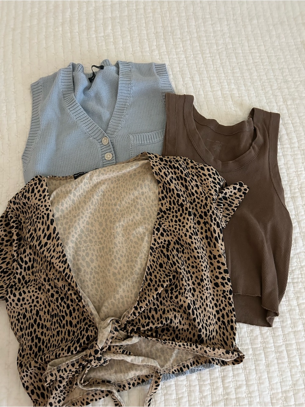 Bundle of Brandy Melville Tops